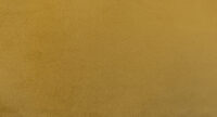 Modvel Golden