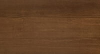 Auburn Maple