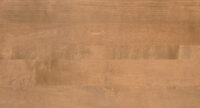 Sand Maple